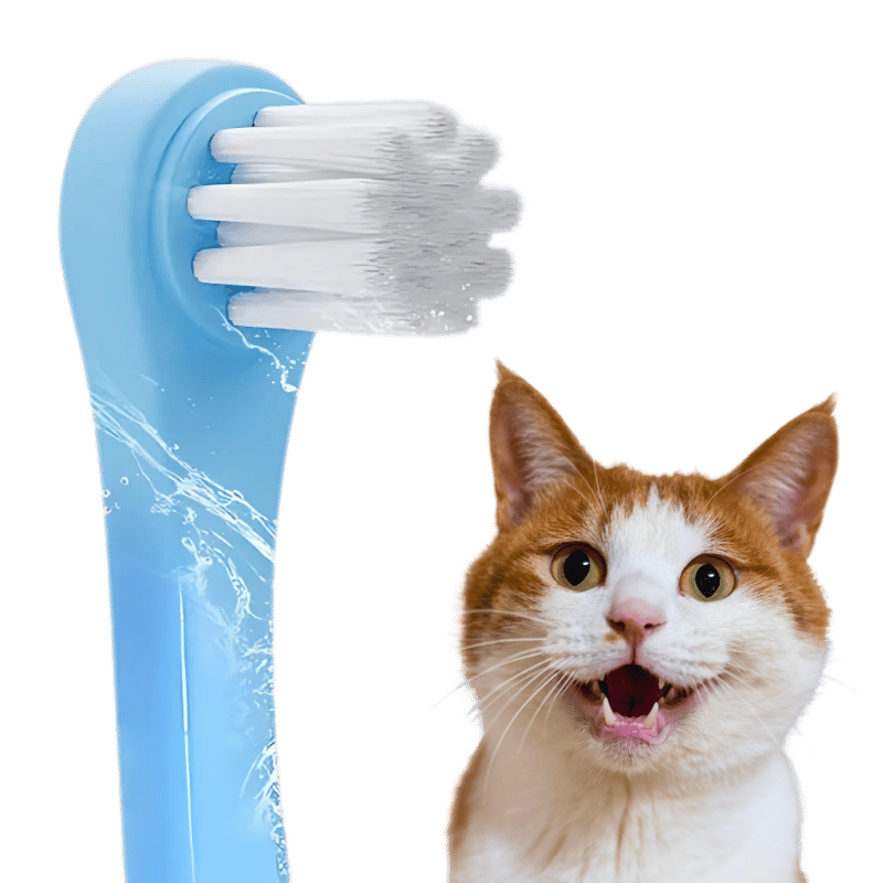 Gentle Clean Hammasharja Kissoille Pehmeillä Nailonharjaksilla Gentle Clean Hammasharja Kissoille Pehmeillä Nailonharjaksilla