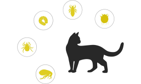 Punkki- ja Kirppukaulus Kissalle